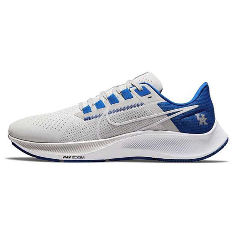 Nike Air Zoom Pegasus 38 "Kentucky"
